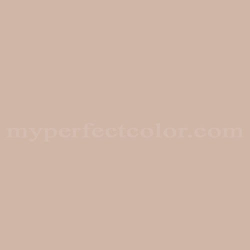 Natural Color System™ S2010-Y60R