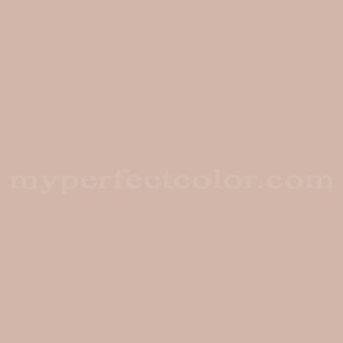 Natural Color System™ S2010-Y70R