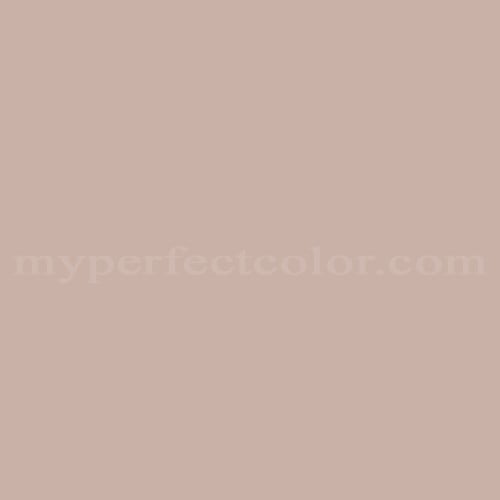 Natural Color System™ S2010-Y80R
