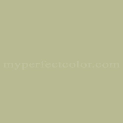 Natural Color System™ S2020-G50Y