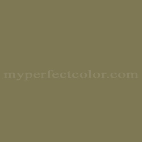 Natural Color System™ S5020-G70Y