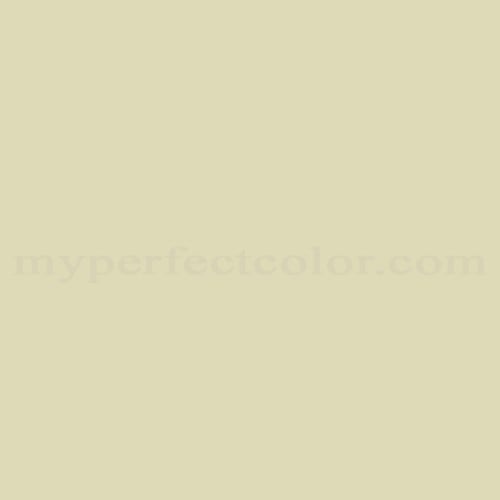 Nautica™ NT419 Pale Mint
