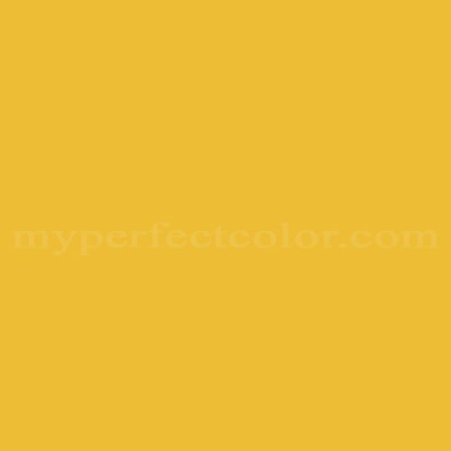 Color Image