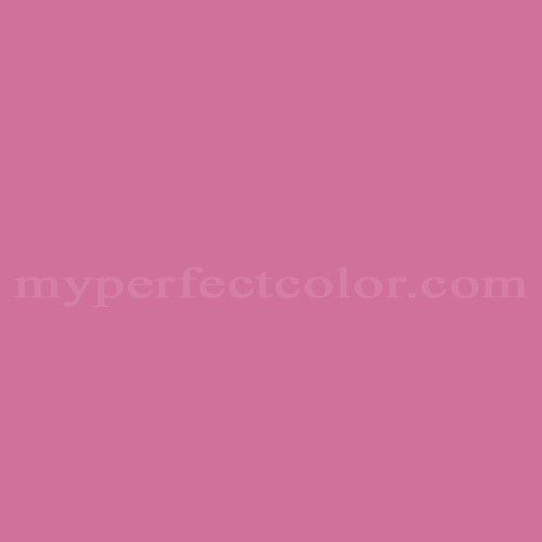 Pantone 16-2118 TPG Pink Power Precisely Matched For Spray Paint and Touch  Up