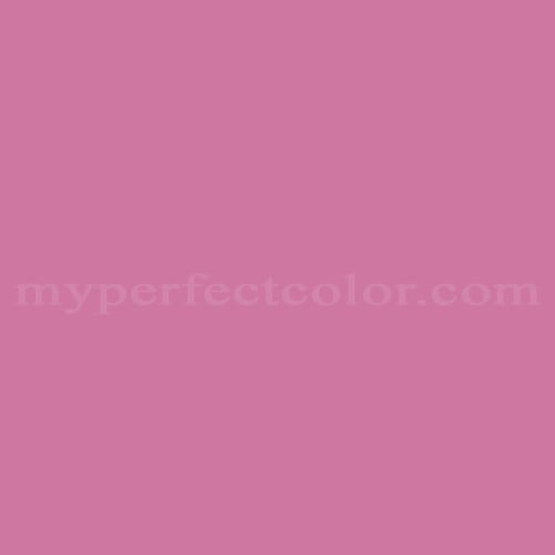 Pantone 16-2120 TPX Wild Orchid Precisely Matched For Spray Paint