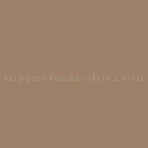Pantone 17-1038 TPG Tiger's Eye Precisely Matched For Spray Paint