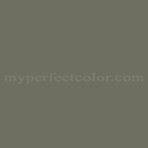 https://www.myperfectcolor.com/repositories/images/colors/pantone-18-0312-tpg-deep-lichen-green-paint-color-match-2.jpg