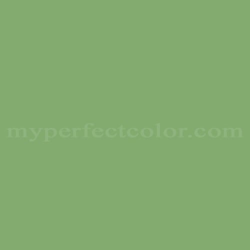 Color Image
