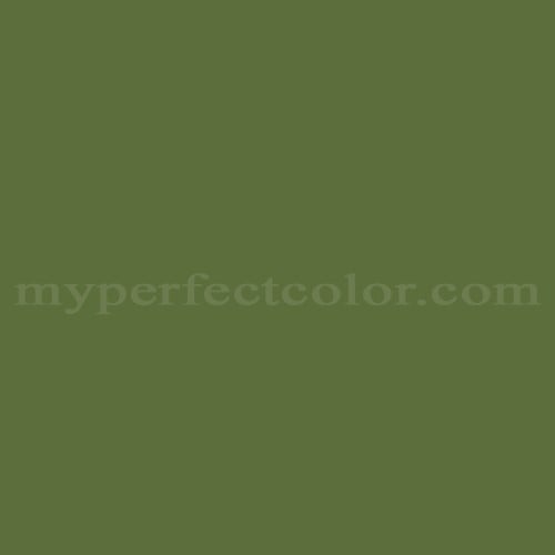 Color Image