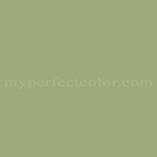 Color Image