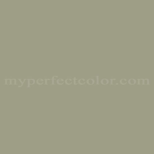 Color Image