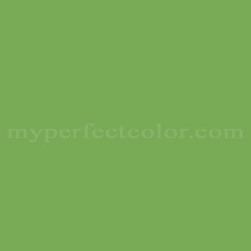 Color Image