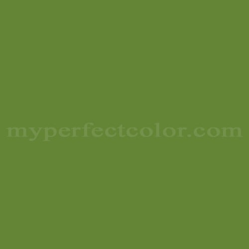 Color Image