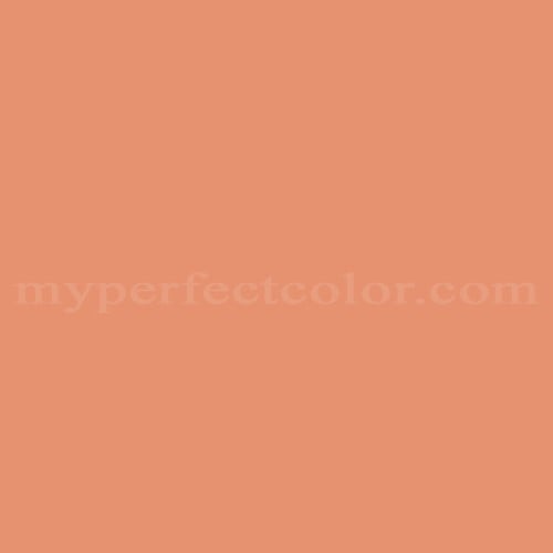 PPG Pittsburgh Paints 3191 Terra Cotta Tint Precisely Matched For Paint