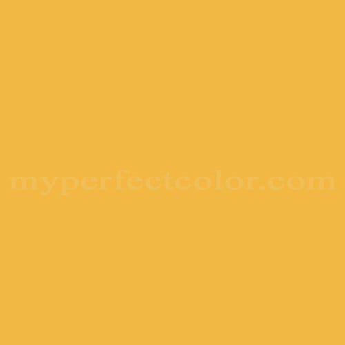 Color Image
