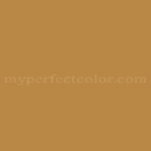 Color Image