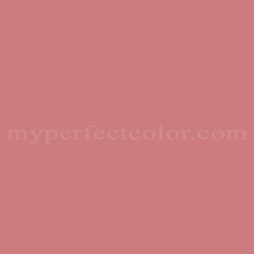 PSS-6443 Guava Touch Up Spray Paint | Coating Match