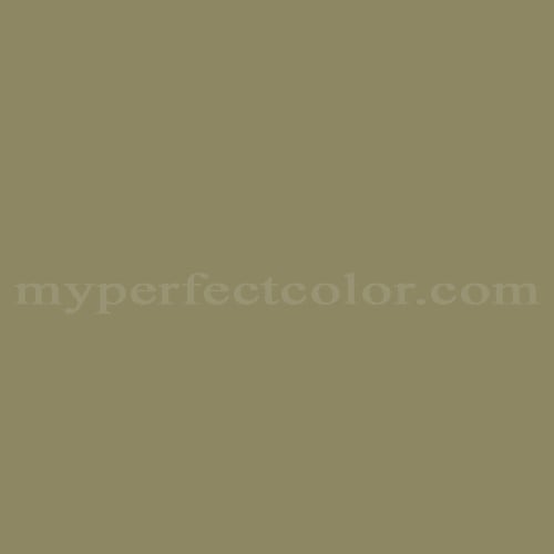 Color Image