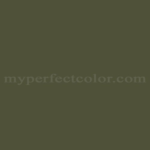 Color Image