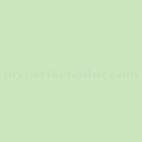 Color Image