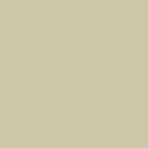 Rodda Paint™ 886 Pampas Grass