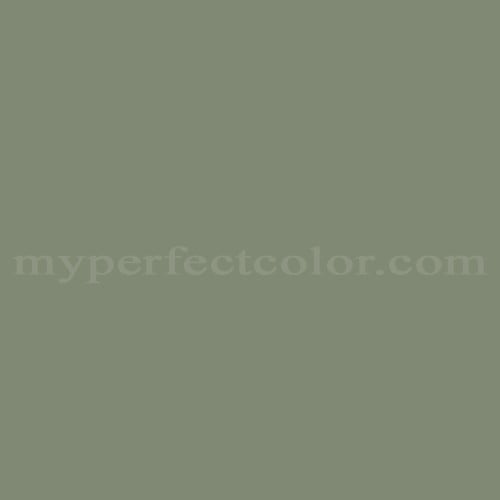 Color Image