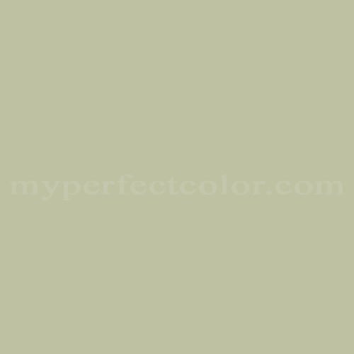 Color Image