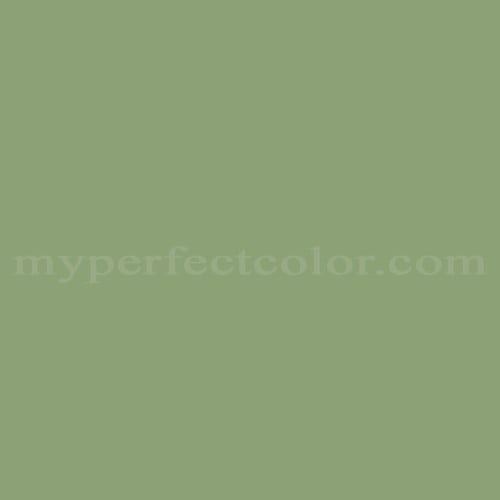 Color Image