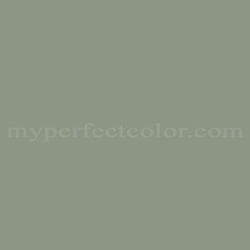 Color Image