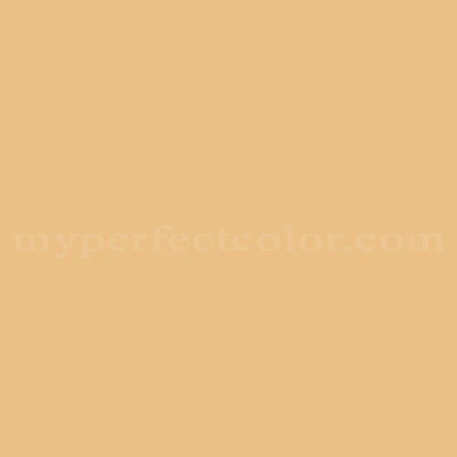 Sherwin Williams™ SW0113 Bee's Wax