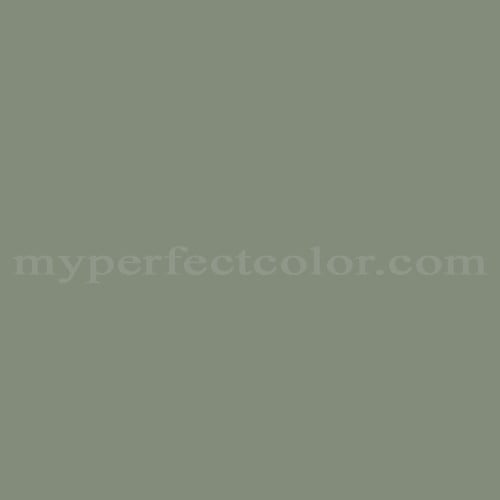 Sherwin Williams SW1181 Scrubbed Pine Precisely Matched For Paint and ...