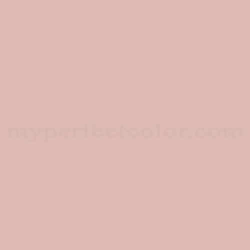 Sherwin Williams SW1302 Arbor Rose Precisely Matched For Paint and