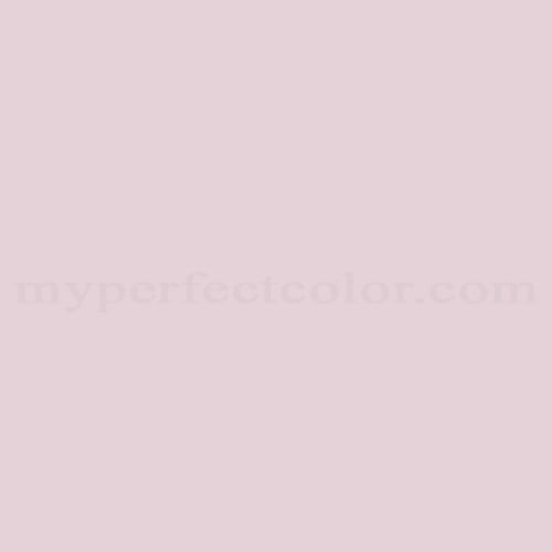 SW1563 Delicate Bloom Paint | Custom Spray Paint Match
