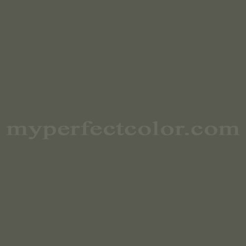 Color Image