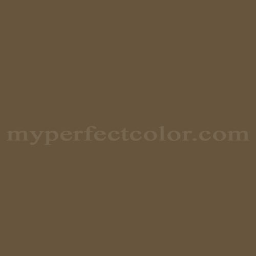 Sherwin Williams SW6153 Protege Bronze Precisely Matched For Paint