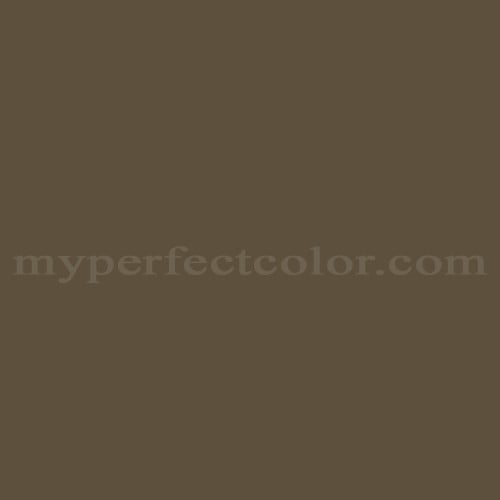 Sherwin Williams SW6160 Best Bronze Precisely Matched For Paint and