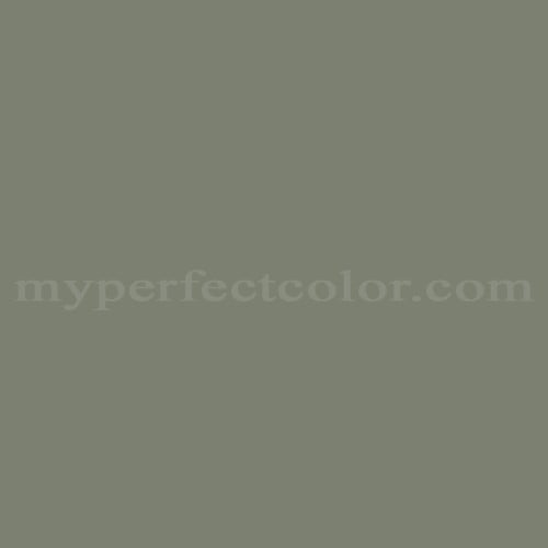 Color Image