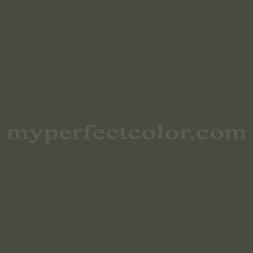 Sherwin Williams SW6209 Ripe Olive Precisely Matched For Paint and Spray  Paint