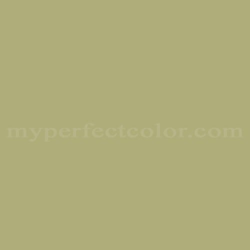 Color Image