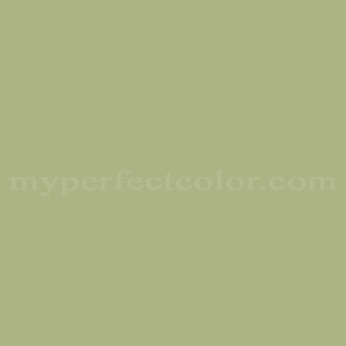 Color Image