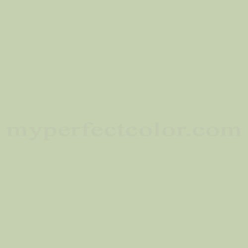 Sherwin Williams™ SW6436 Bonsai Tint