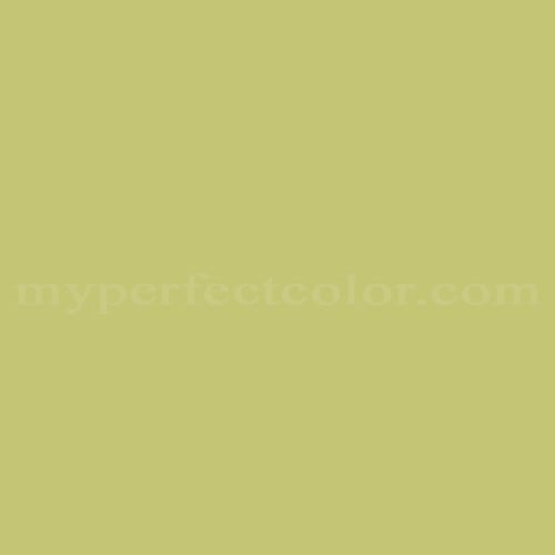 Sherwin Williams SW6710 Melange Green Precisely Matched For Paint and
