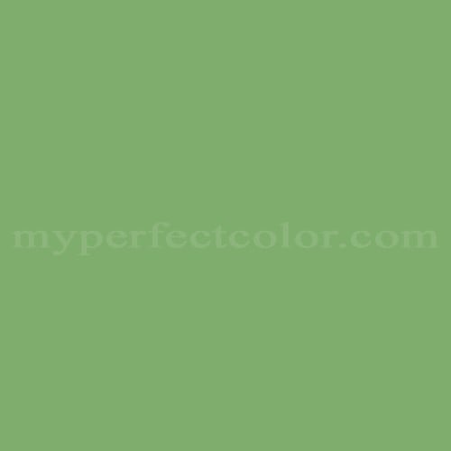 Color Image