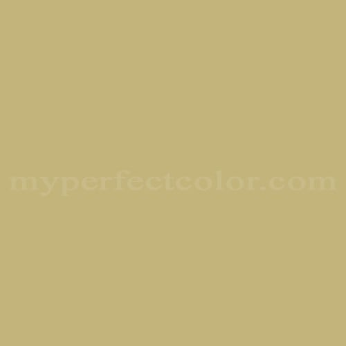 Color Image