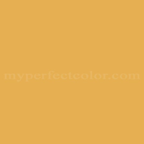 Sico 6113-54 Buckwheat Yellow Precisely Matched For Paint
