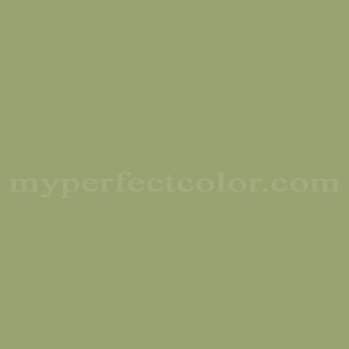 Color Image