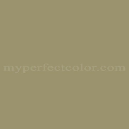 Color Image