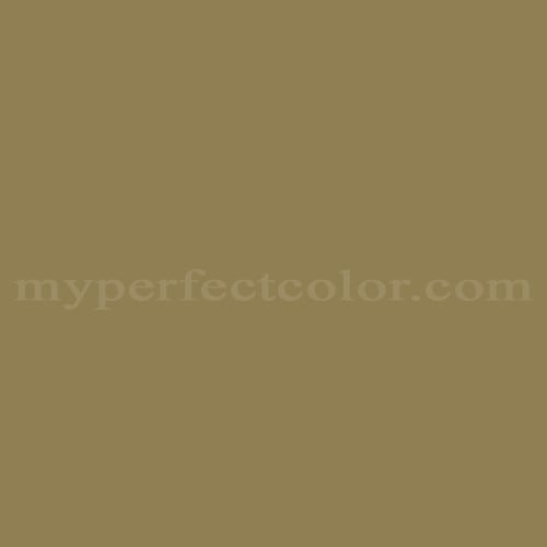 Color Image