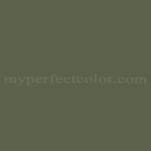 312-6 Tortoise Shell Paint | Custom Spray Paint Match 312-6 Tortoise Shell Paint | Custom Spray Paint Match