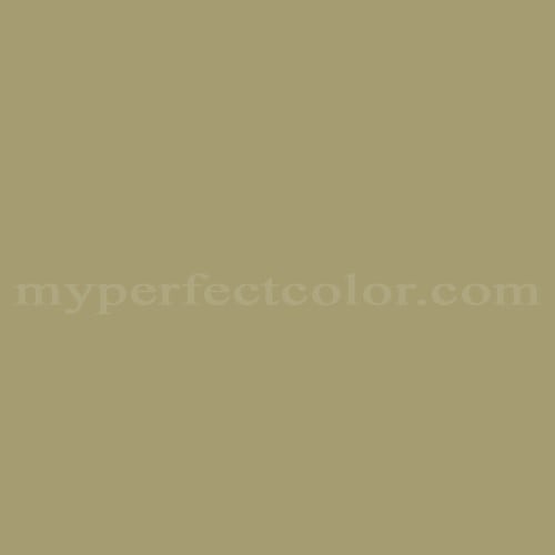 Color Image